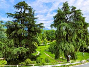 Bellagio, spacious apartment with private garden and two parking spaces